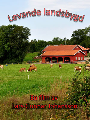 Information Filmbild